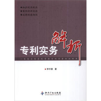 專利實務解析 pdf epub mobi 下载