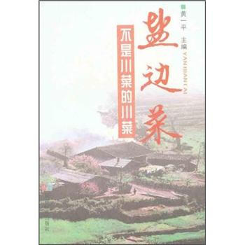 盐边菜：不是川菜的川菜 pdf epub mobi 下载