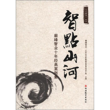 書香巔峰叢書·智點山河：巔峰智業十年經典案例集 pdf epub mobi 下载
