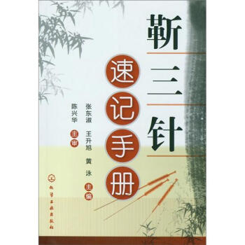 靳三针速记手册 pdf epub mobi 下载