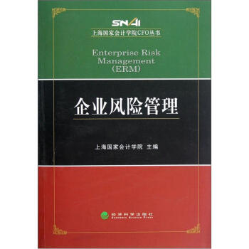 上海国家会计学院CFO丛书：企业风险管理 pdf epub mobi 下载