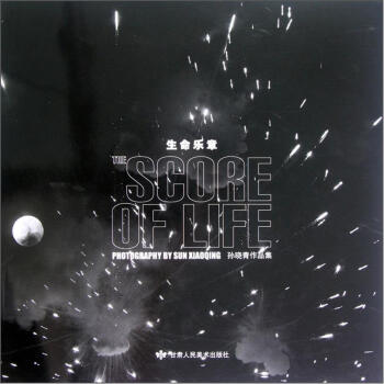 生命乐章：孙晓青作品集 [The Score of Life:Photography by Sun Xiaoqing] pdf epub mobi 电子书 下载