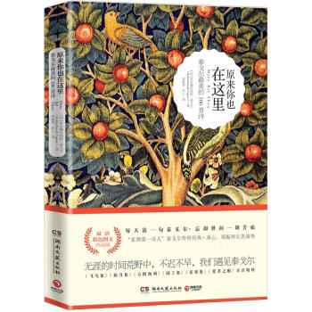 原来你也在这里：泰戈尔最美的100首诗（双语彩色图文典藏版） pdf epub mobi 下载