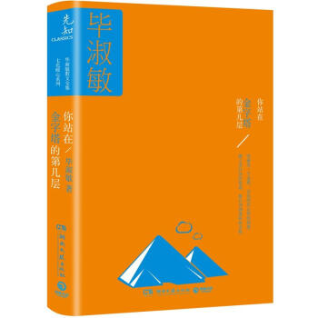 你站在金字塔的第幾層 pdf epub mobi 下载