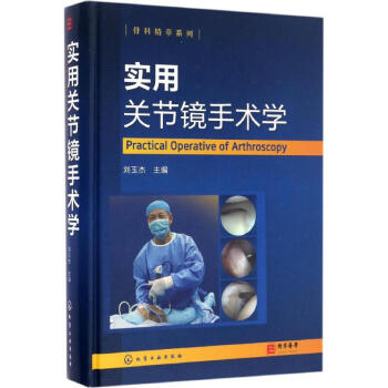 实用关节镜手术学 pdf epub mobi 下载