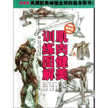 肌肉健美训练图解 pdf epub mobi 下载