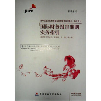 国际财务报告准则实务指引（第10册） pdf epub mobi 下载