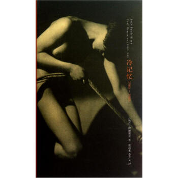 棱镜精装人文译丛：冷记忆（1980-1985） pdf epub mobi 电子书 下载