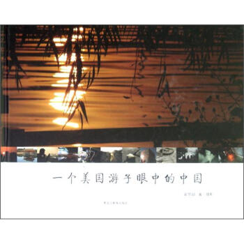 一个美国游子眼中的中国 pdf epub mobi 电子书 下载