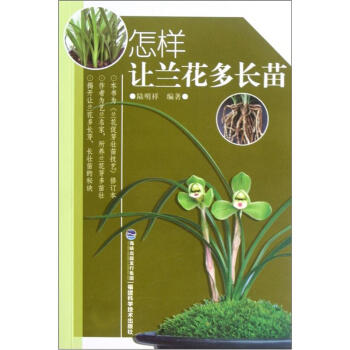 怎样让兰花多长苗 pdf epub mobi 下载