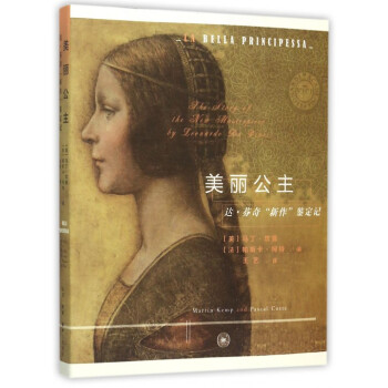 美丽公主(达·芬奇新作鉴定记) pdf epub mobi 电子书 下载