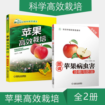苹果种植技术书籍 苹果高效栽培+图说苹果病虫害诊断与防治 苹果树种植技术 pdf epub mobi 下载