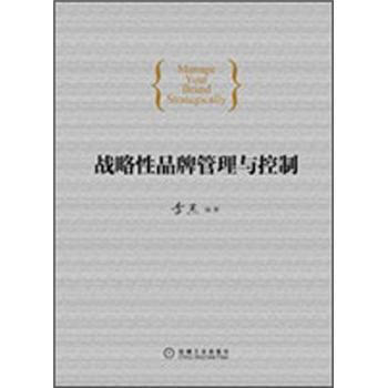 戰略性品牌管理與控製 pdf epub mobi 下载