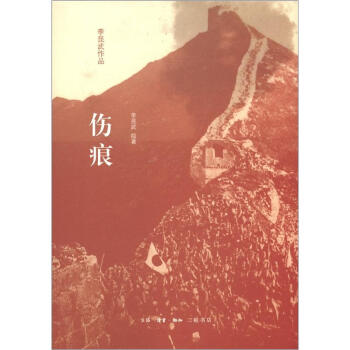 伤痕 pdf epub mobi 电子书 下载