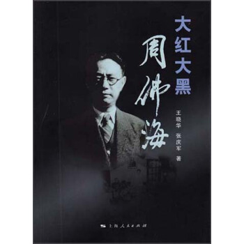 大红大黑周佛海 pdf epub mobi 下载