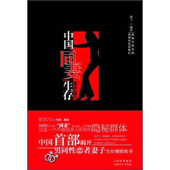 中國“同妻”生存調查報告 pdf epub mobi 下载