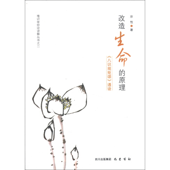 唯识学经论诠释丛书·改造生命的原理：《八识规矩颂》通诠 pdf epub mobi 下载