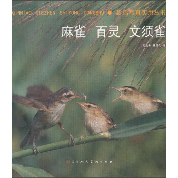 麻雀 百灵 文须雀 pdf epub mobi 下载