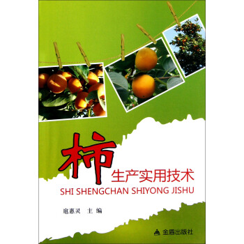 柿生産實用技術 pdf epub mobi 下载