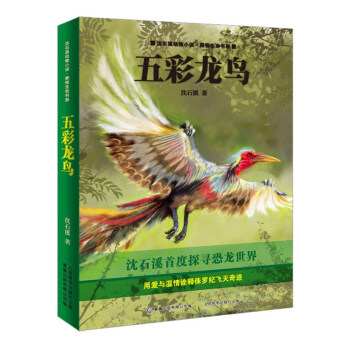 动物小说大王沈石溪感悟生命书系 五彩龙鸟 [11-14岁] pdf epub mobi 下载