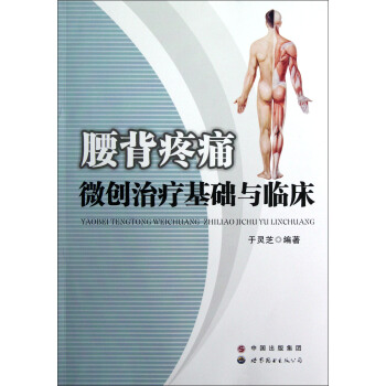 腰背疼痛微创治疗基础与临床 pdf epub mobi 下载