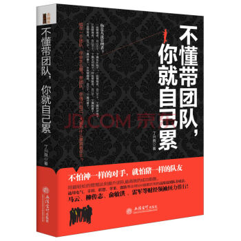 正版 不懂帶團隊你就自己纍 丁興良作品 pdf epub mobi 下载