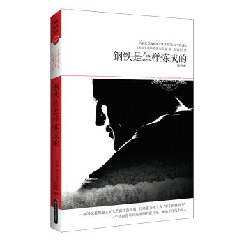 世界文学文库059：钢铁是怎样炼成的（插图全译本） pdf epub mobi 下载