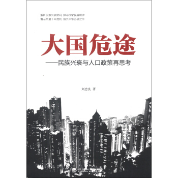大國危途：民族興衰與人口政策再思考 pdf epub mobi 下载