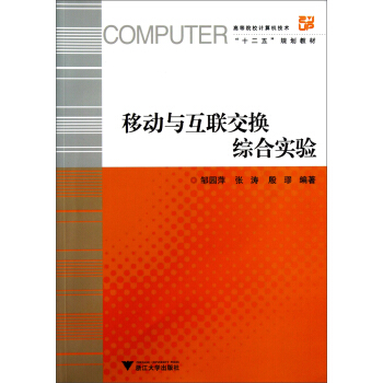 移动与互联交换综合实验 pdf epub mobi 下载