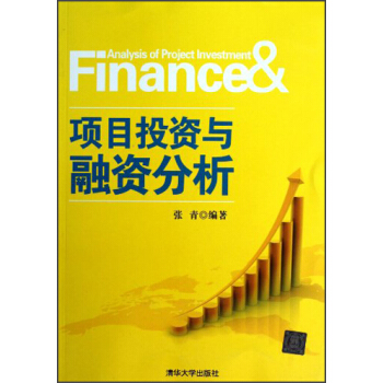 项目投资与融资分析 [Finance & Analysis of Project Investment] pdf epub mobi 下载