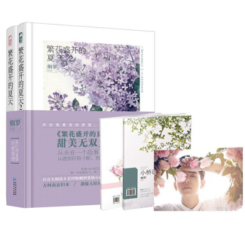 繁花盛开的夏天1+2 全2册 烟罗 pdf epub mobi 下载