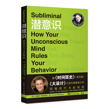 潜意识：控制你行为的秘密 pdf epub mobi 下载