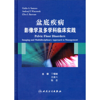 盆底疾病：影像學及多學科臨床實踐（翻譯版） pdf epub mobi 下载