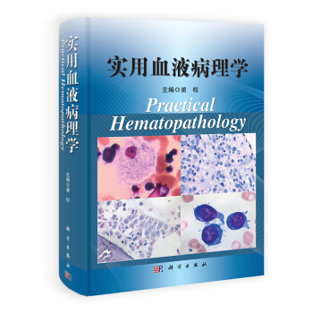 实用血液病理学 pdf epub mobi 下载