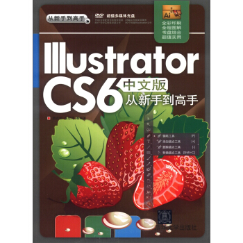 从新手到高手:Illustrator CS6中文版从新手到高手(附DVD-ROM光盘1张)