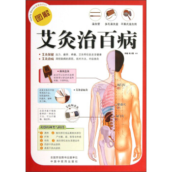 图解艾灸治百病 pdf epub mobi 下载