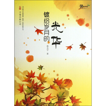 鍍給歲月的光華 pdf epub mobi 電子書 下載