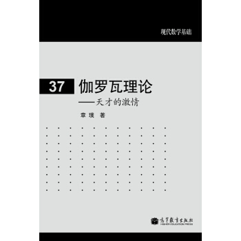 現代數學基礎:伽羅瓦理論 天纔的激情