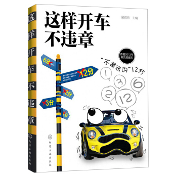 这样开车不违章 pdf epub mobi 下载