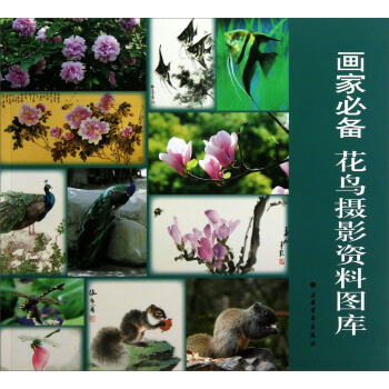画家必备：花鸟摄影资料图库 pdf epub mobi 下载