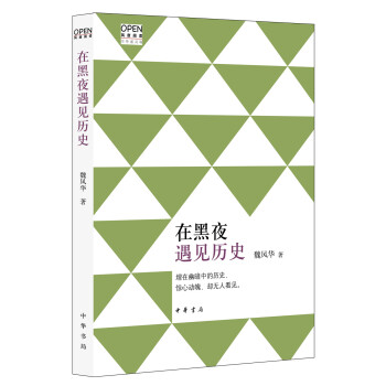 在黑夜遇见历史 pdf epub mobi 电子书 下载
