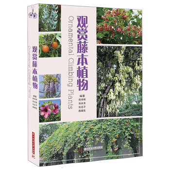 观赏藤本植物 pdf epub mobi 下载