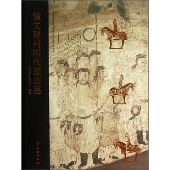 陕西省考古研究院田野考古报告 第56号：潼关税村隋代壁画墓 pdf epub mobi 下载