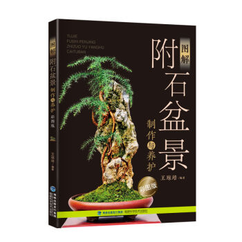圖解附石盆景製作與養護（彩圖版） 傢居 傢庭園藝 書籍 pdf epub mobi 電子書 下載