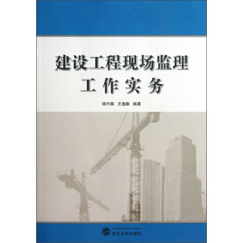 建設工程現場監理工作實務 pdf epub mobi 電子書 下載