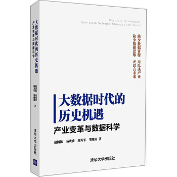 大数据时代的历史机遇：产业变革与数据科学 pdf epub mobi 电子书 下载
