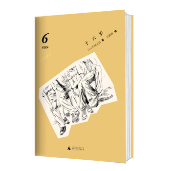 十六岁 pdf epub mobi 下载