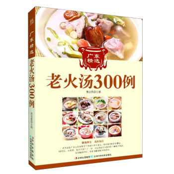 廣東精選老火湯300例 pdf epub mobi 下载