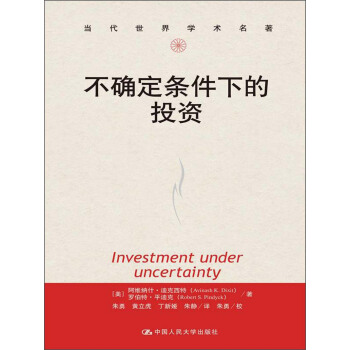 不確定條件下的投資 pdf epub mobi 下载