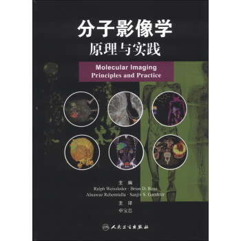分子影像學：原理與實踐（翻譯版） [Molecular Imaging:Principles and Practice] pdf epub mobi 下载